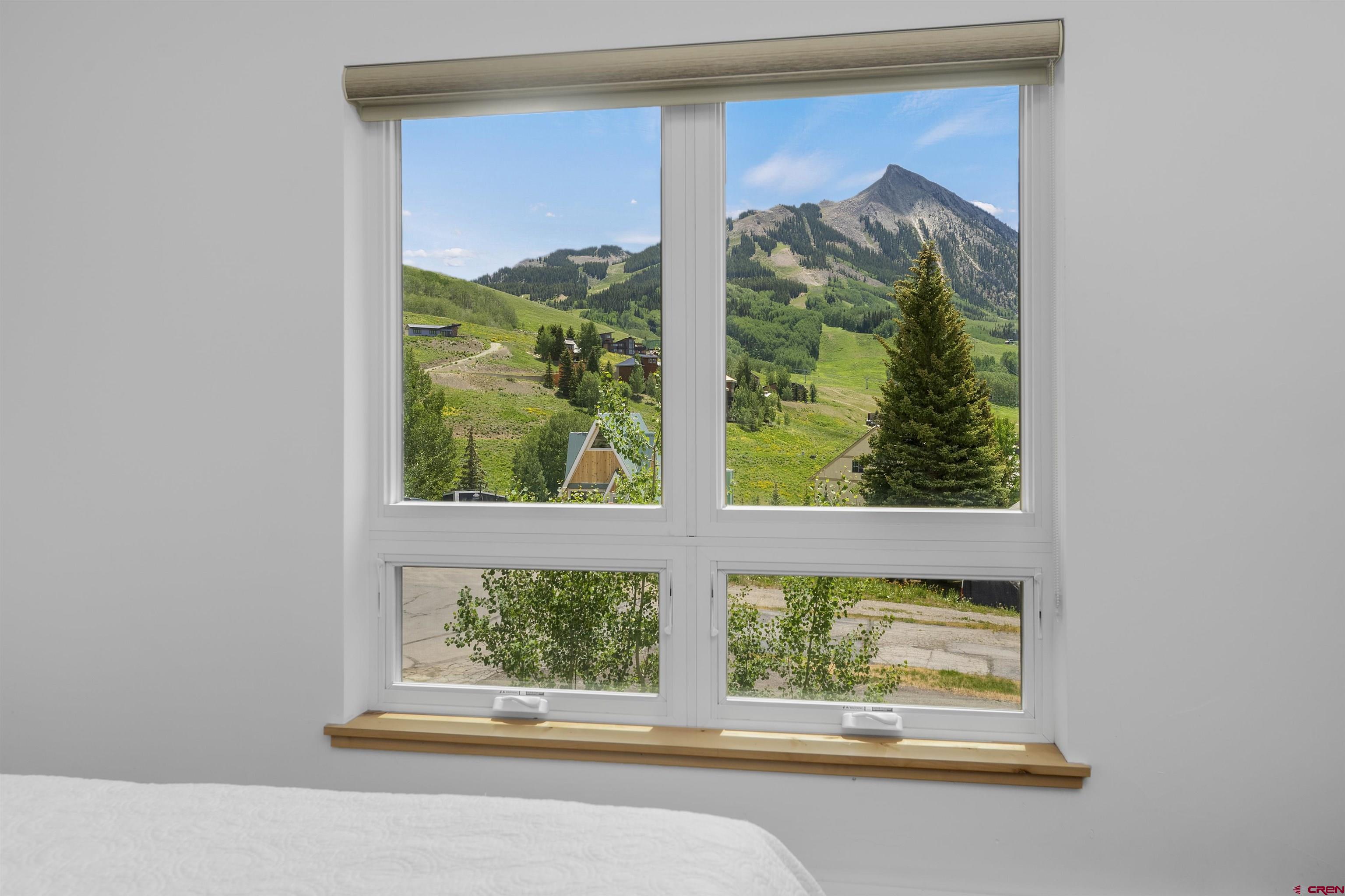 29 Treasury Road Crested Butte, CO 81225 - Photo 22 of 45