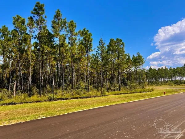 $200,000 | Lot 11 Morgans Branch, Molino, FL 32577