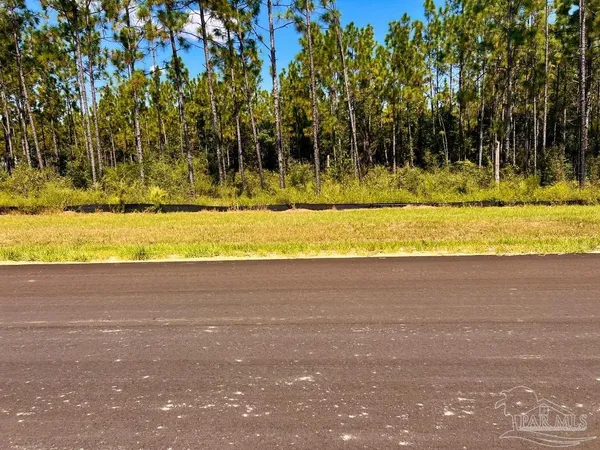 $200,000 | Lot 11 Morgans Branch, Molino, FL 32577