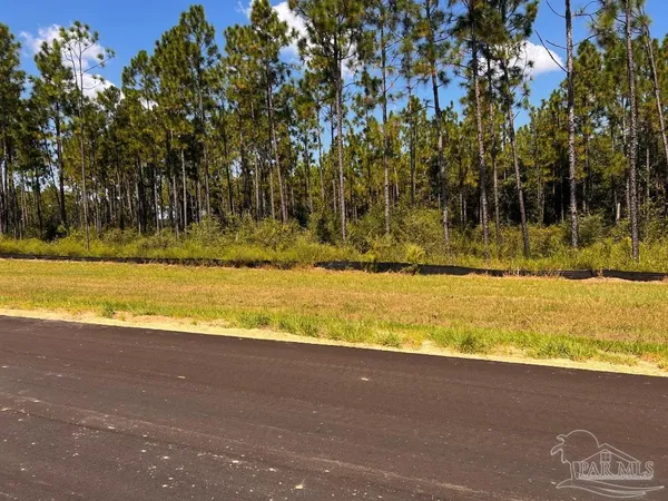 $200,000 | Lot 11 Morgans Branch, Molino, FL 32577
