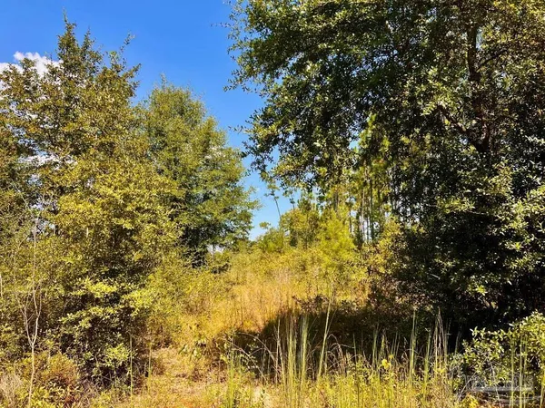 $200,000 | Lot 11 Morgans Branch, Molino, FL 32577