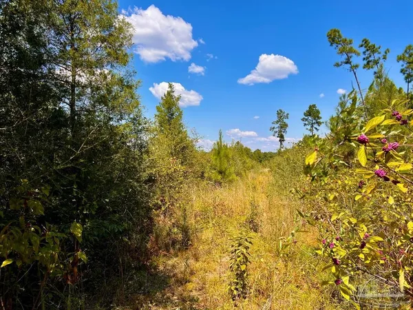 $200,000 | Lot 11 Morgans Branch, Molino, FL 32577