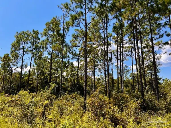 $200,000 | Lot 11 Morgans Branch, Molino, FL 32577