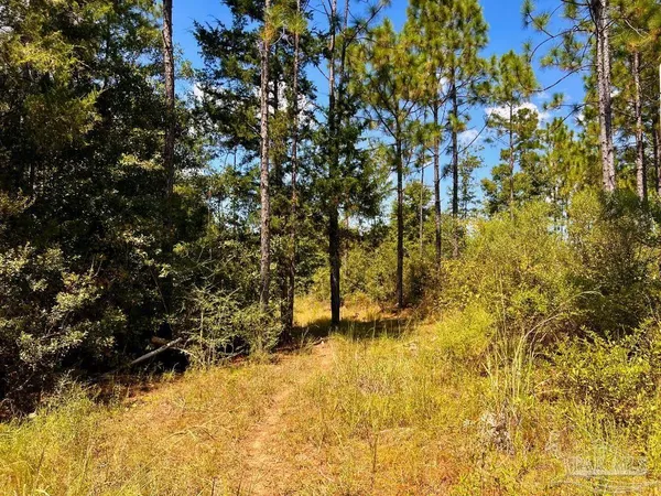 $200,000 | Lot 11 Morgans Branch, Molino, FL 32577