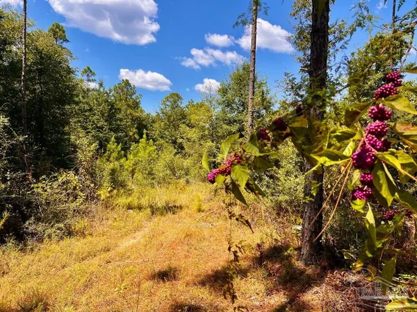 $200,000 | Lot 11 Morgans Branch, Molino, FL 32577