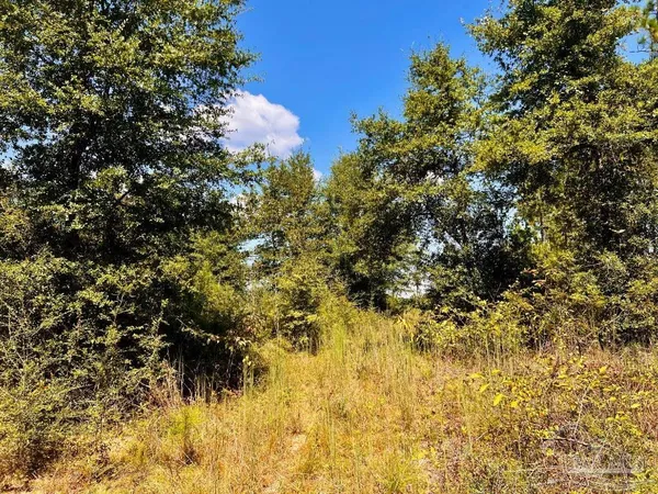 $200,000 | Lot 11 Morgans Branch, Molino, FL 32577