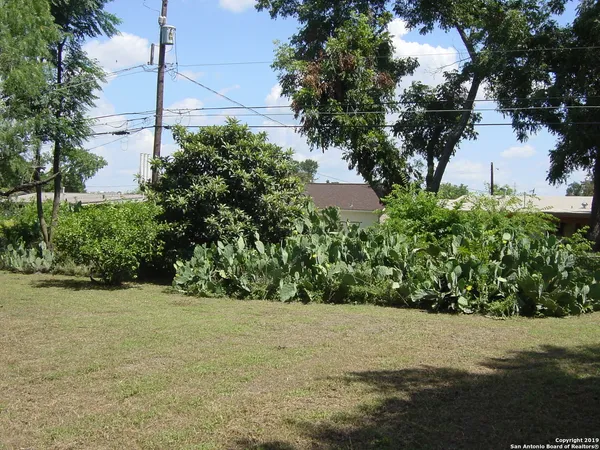 a view of a yard