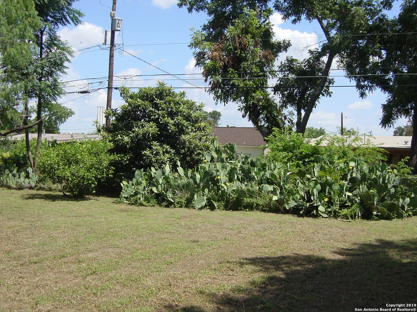 442 Sharon Drive San Antonio, TX 78216 - Photo 13 of 15 a view of a yard