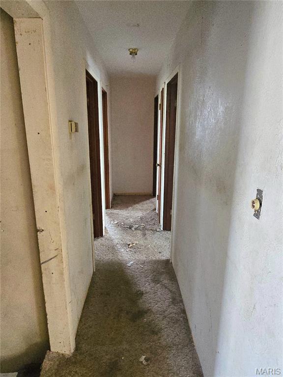 3311 South Belt West Belleville, IL 62226 - Photo 8 of 25