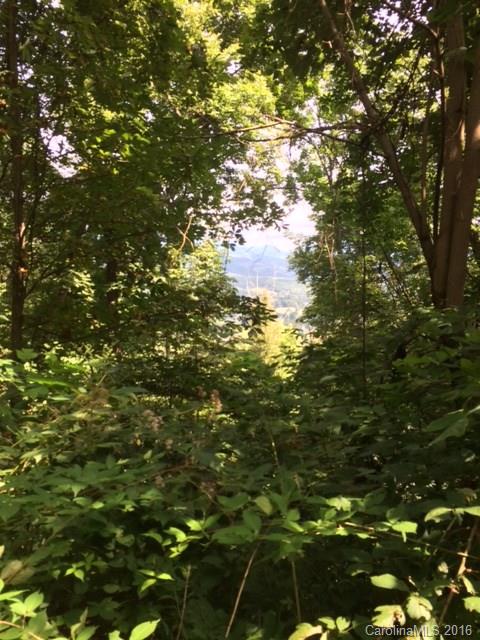 999 Lytle Cove Road Swannanoa, NC 28778 - Photo 2 of 14 Gallery Image 2