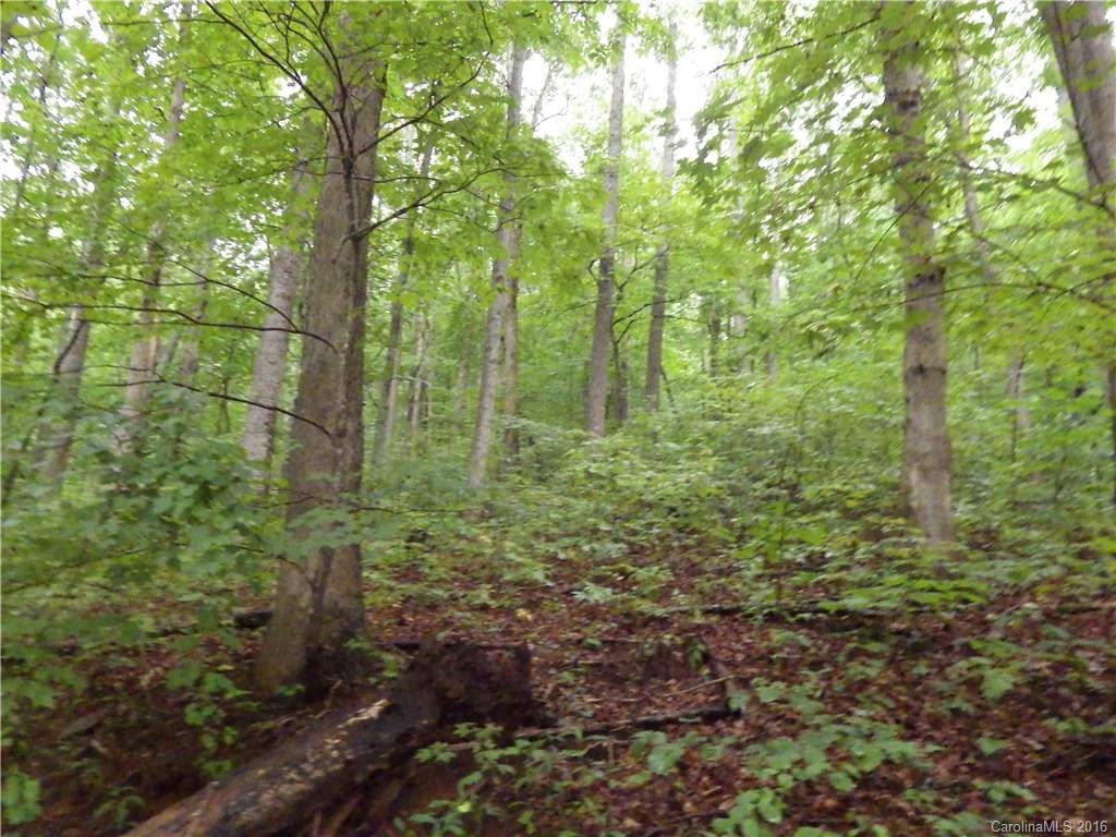 999 Lytle Cove Road Swannanoa, NC 28778 - Photo 11 of 14 Gallery Image 11
