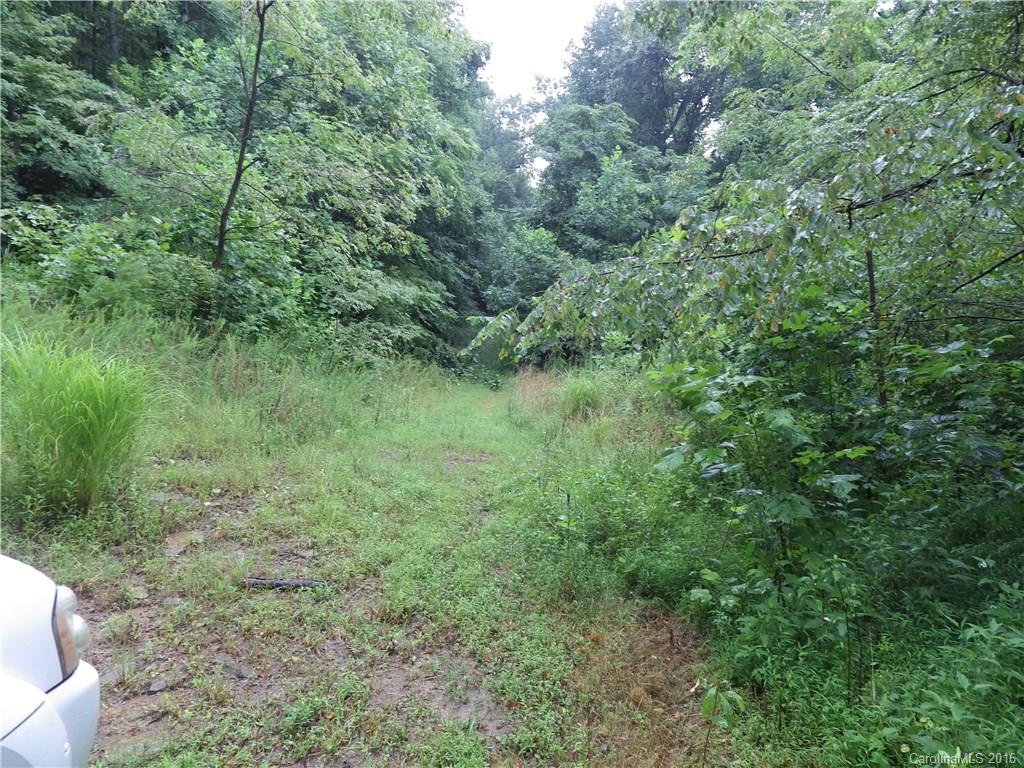 999 Lytle Cove Road Swannanoa, NC 28778 - Photo 12 of 14 Gallery Image 12