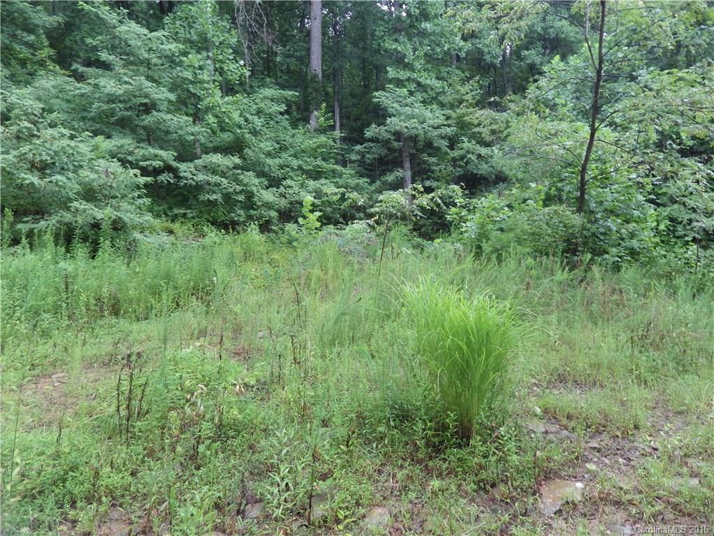 999 Lytle Cove Road Swannanoa, NC 28778 - Photo 13 of 14 Gallery Image 13
