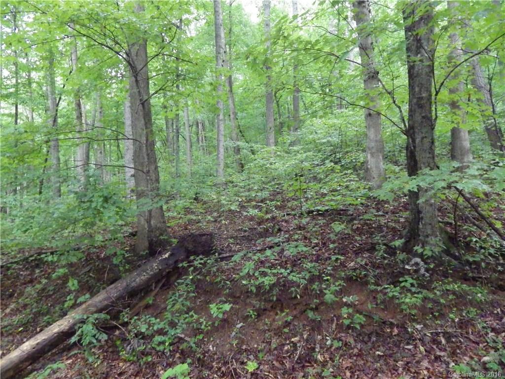 999 Lytle Cove Road Swannanoa, NC 28778 - Photo 9 of 14 Gallery Image 9