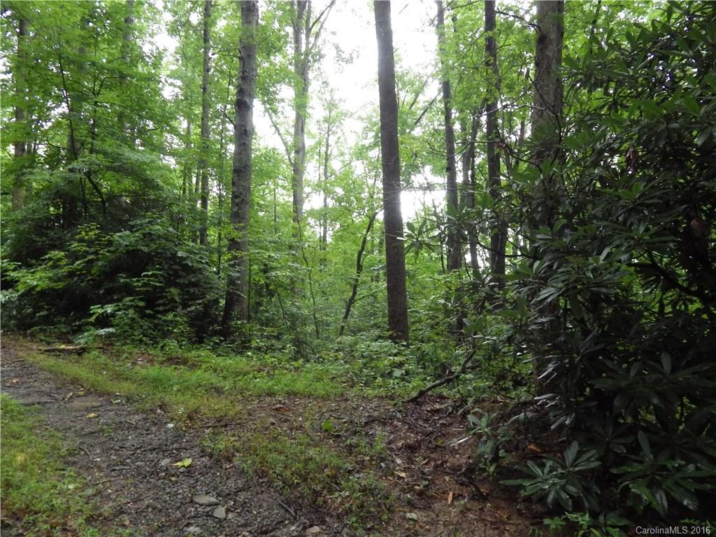 999 Lytle Cove Road Swannanoa, NC 28778 - Photo 10 of 14 Gallery Image 10