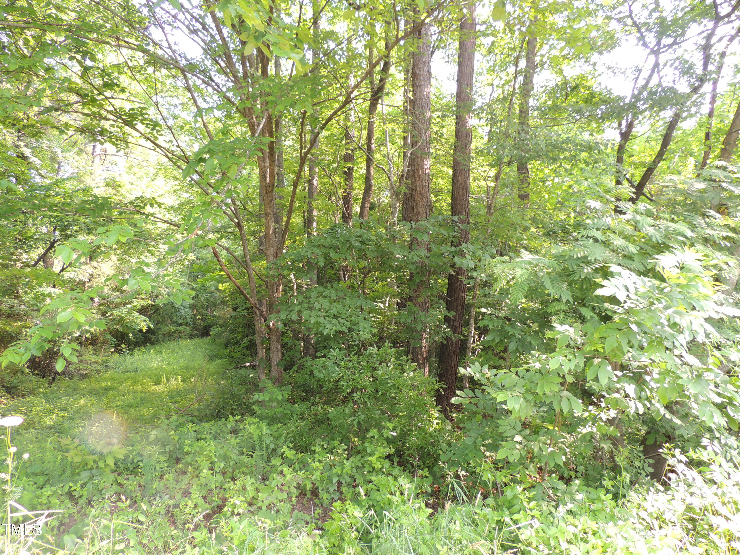 1416 Pennock Road Durham, NC 27703 - Photo 8 of 9 271D635F-4DD1-44B7-A02D-A1B4343ED8F3