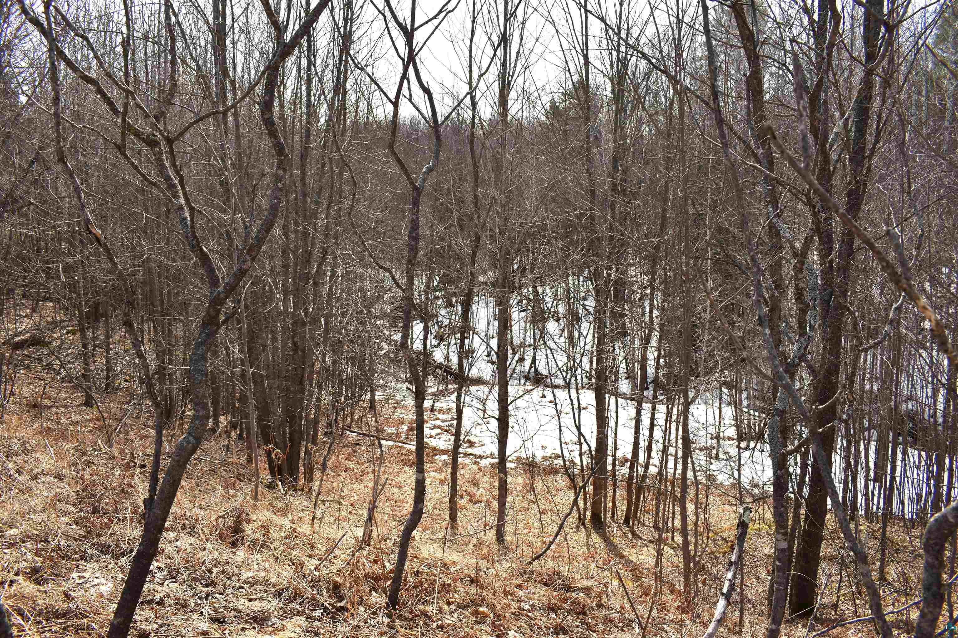 39243 North York Road High Bridge, WI 54846 - Photo 36 of 48