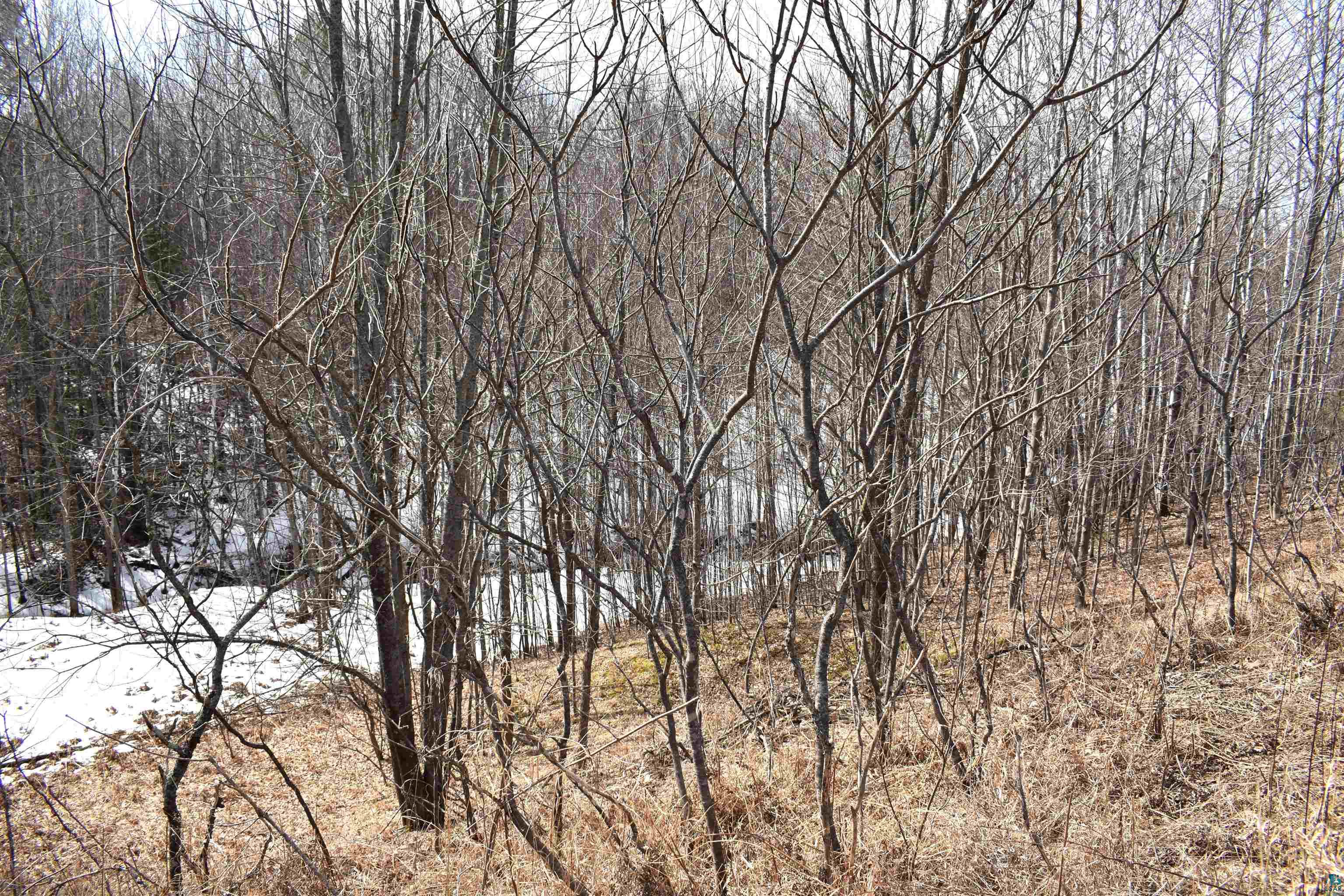 39243 North York Road High Bridge, WI 54846 - Photo 41 of 48