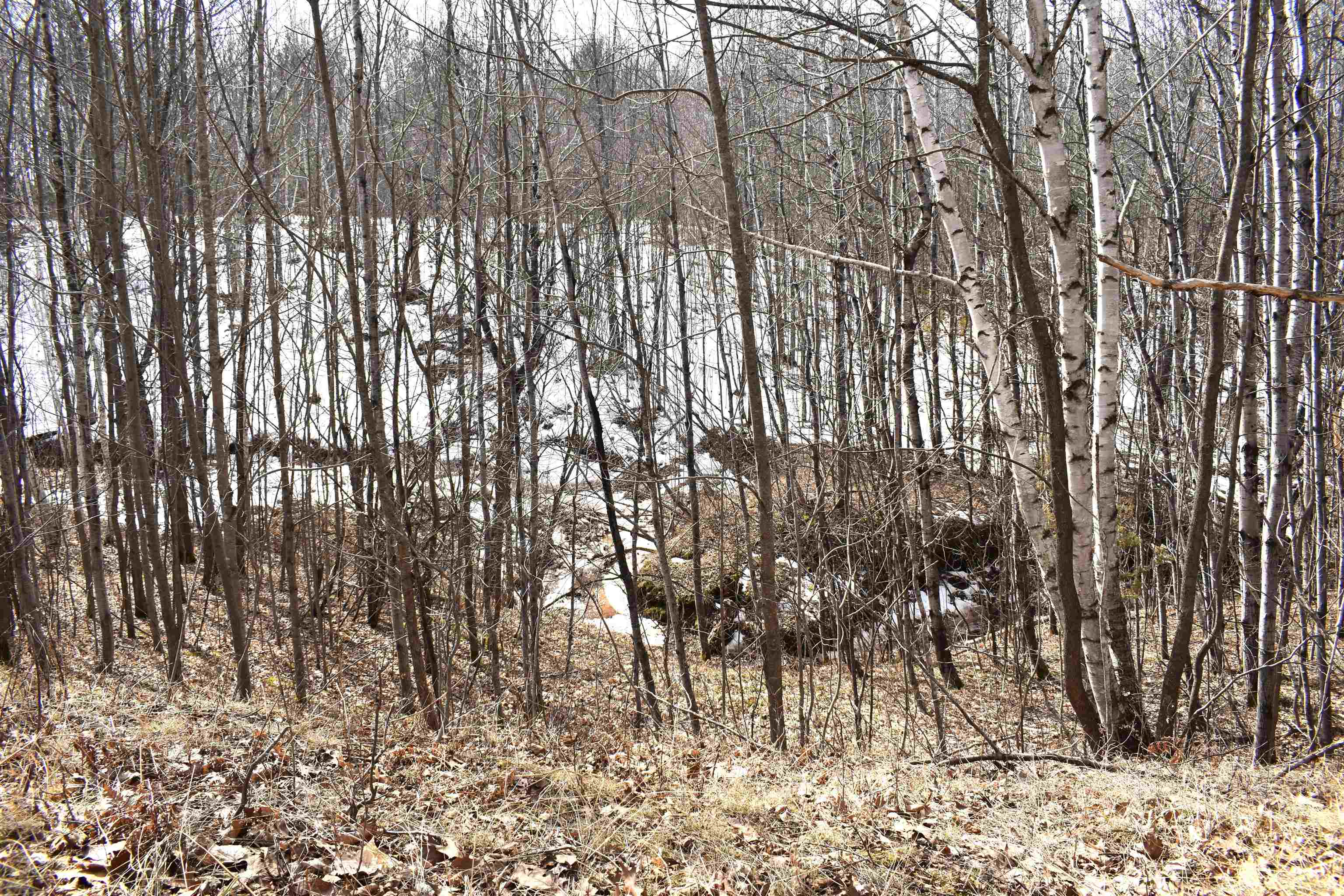 39243 North York Road High Bridge, WI 54846 - Photo 42 of 48