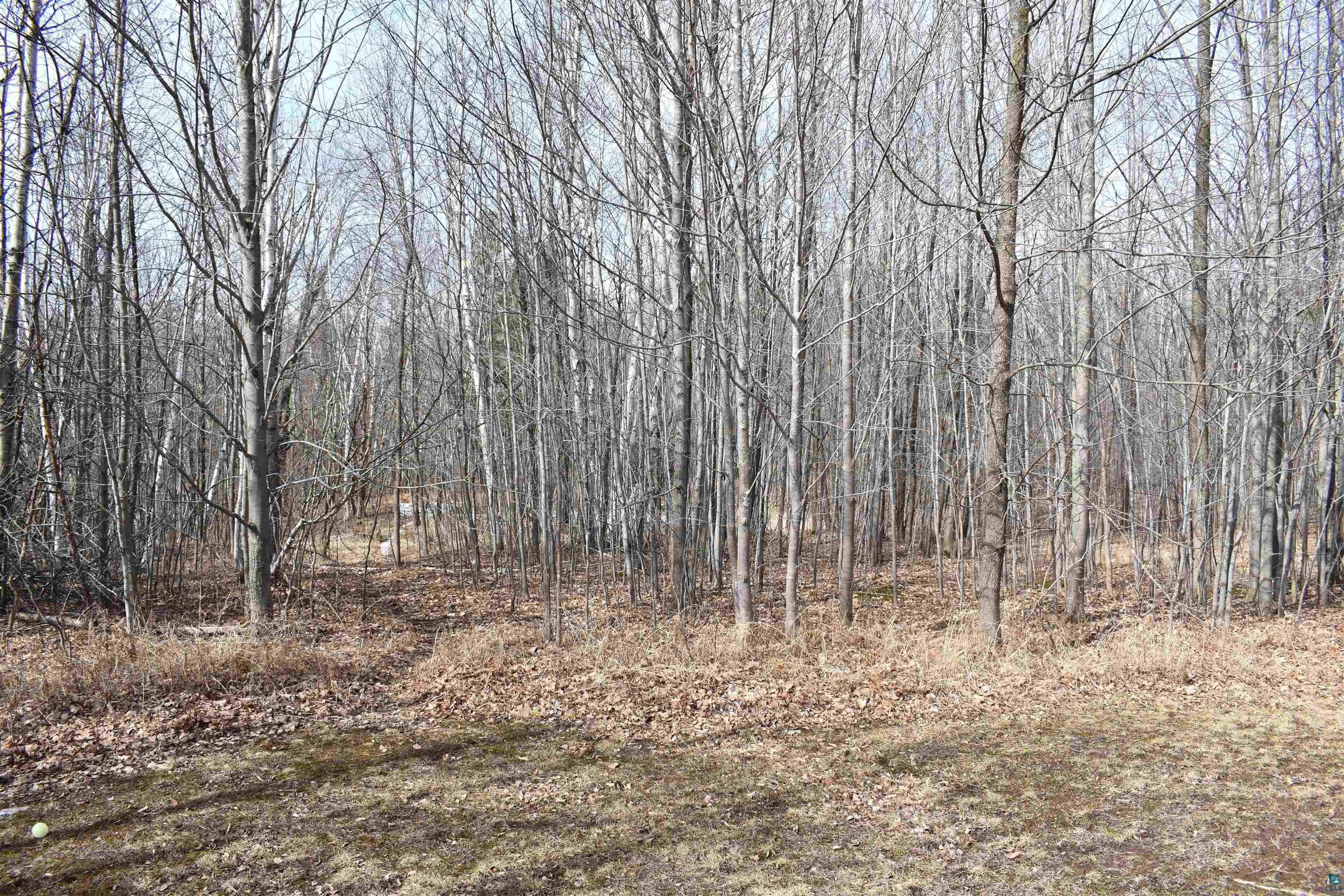 39243 North York Road High Bridge, WI 54846 - Photo 43 of 48