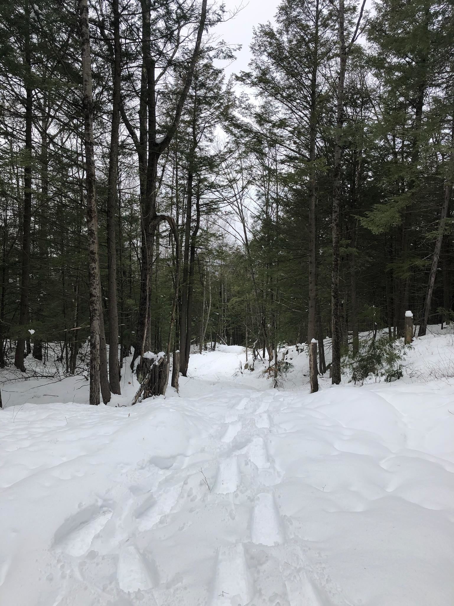 1096 Mattson Road Chester, VT 05143 - Photo 17 of 26
