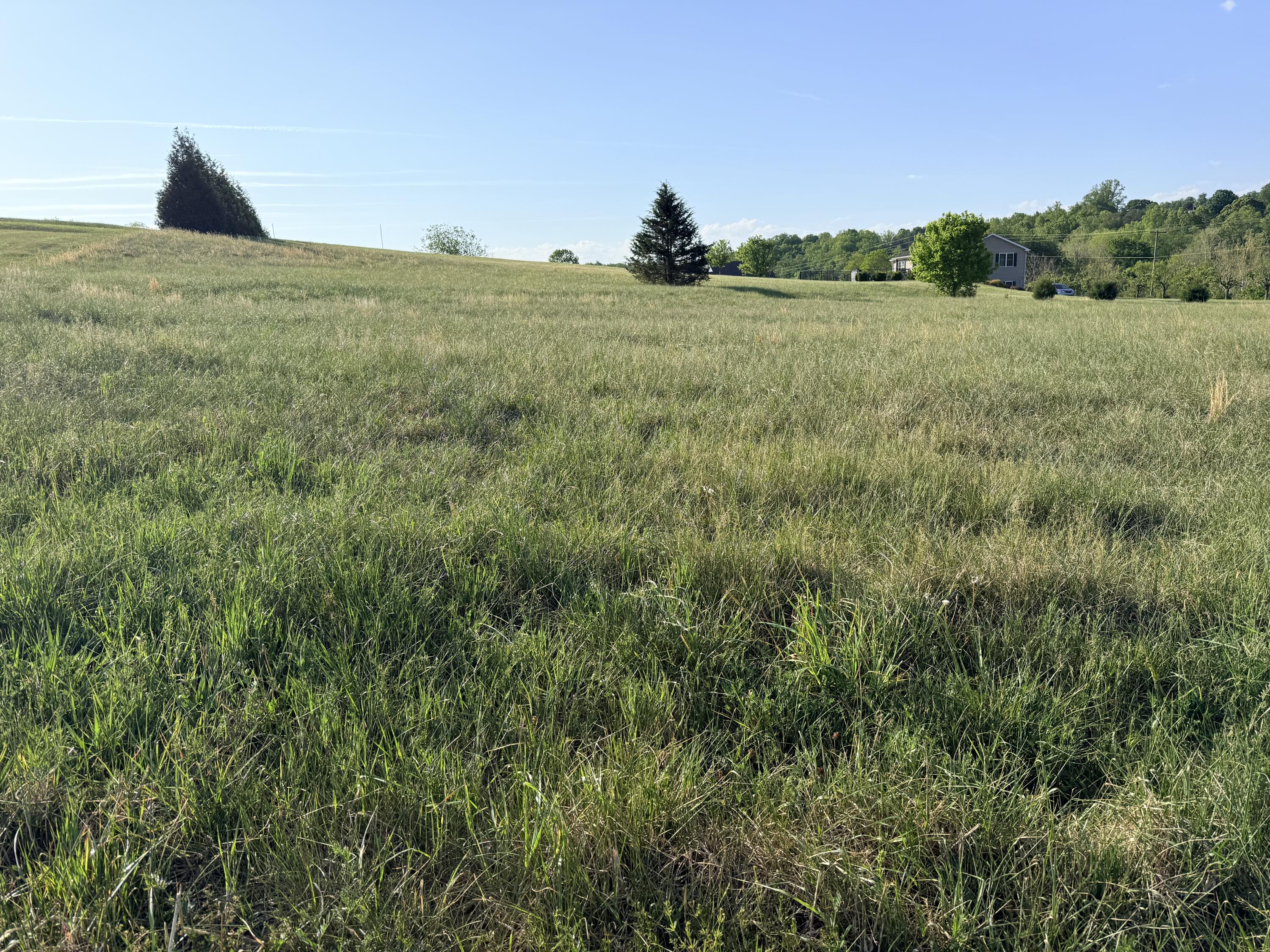Lot 15 Green Level Road Boones Mill, VA 24065 - Photo 6 of 7 Level