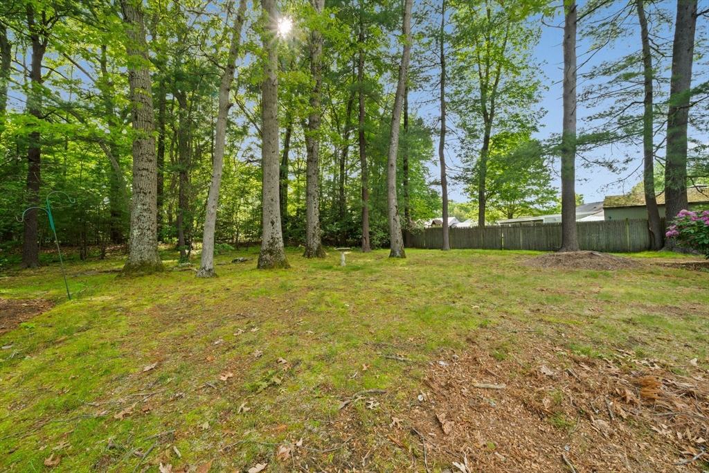 34 Birchcroft Road Canton, MA 02021 - Photo 27 of 31 a backyard of a house with lots of green space and fountain