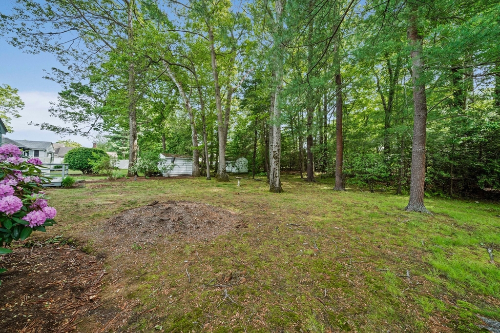 34 Birchcroft Road Canton, MA 02021 - Photo 30 of 31 a view of outdoor space with deck and yard