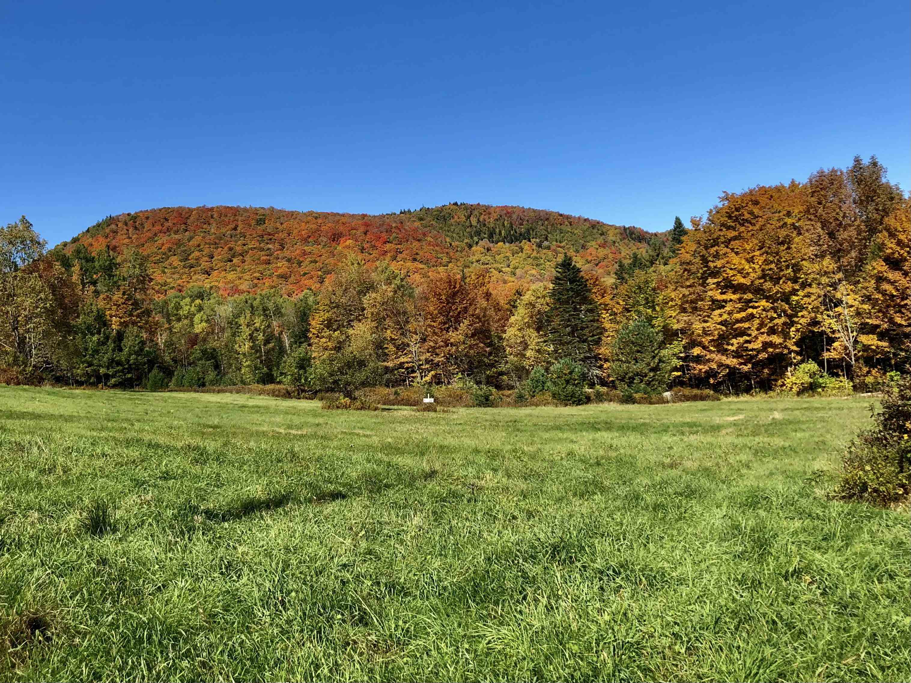 Shadow Lake Road Glover, VT 05839 - Photo 8 of 18 Gallery Image 8