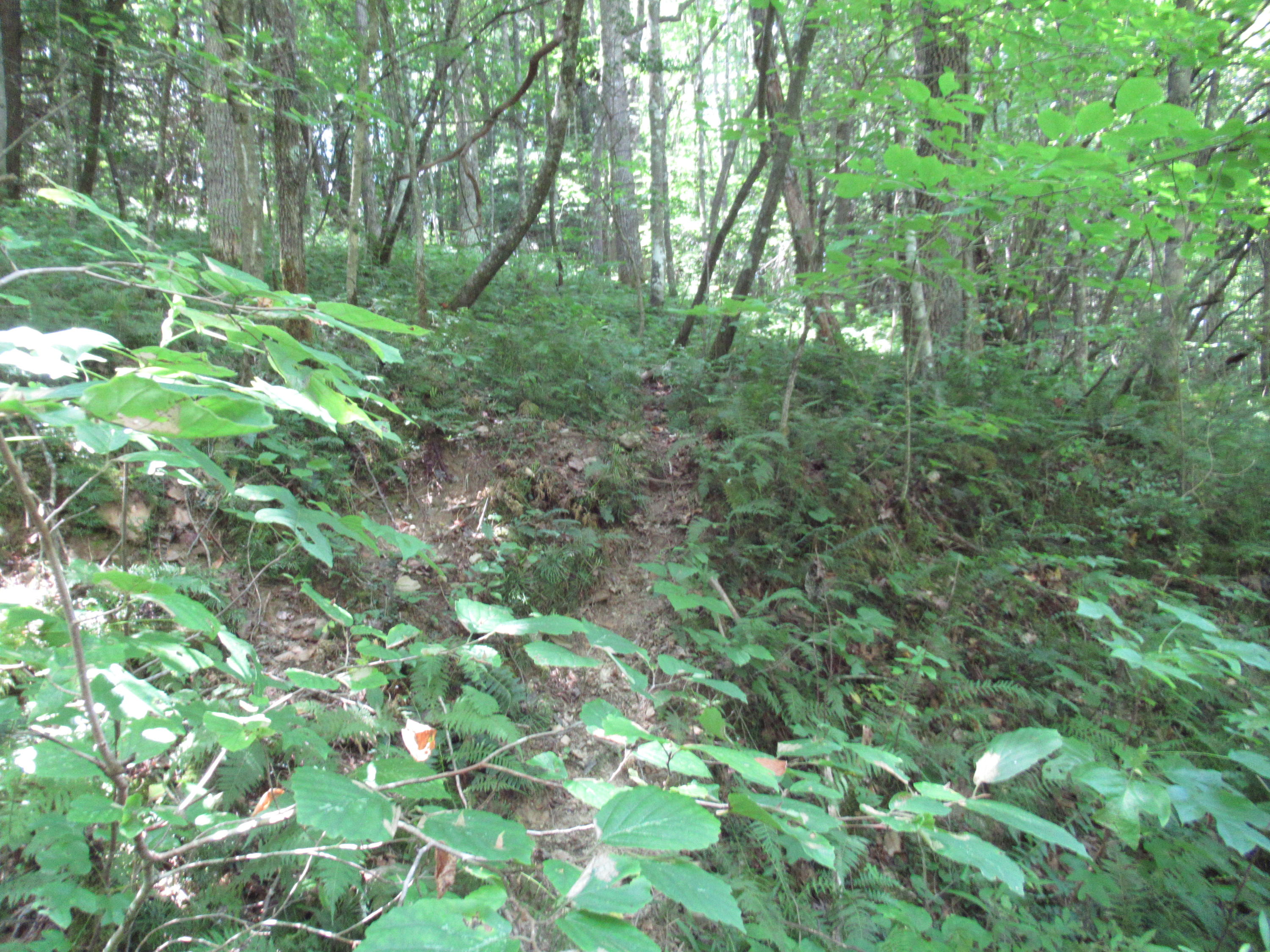 281 Pine Branch Road Shady Spring, WV 25918 - Photo 22 of 22 Gallery Image 22