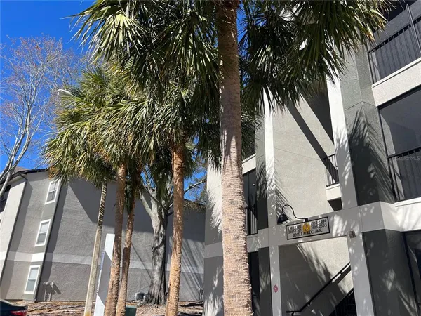 a view of a house with a palm tree