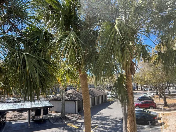 a view of outdoor space with trees