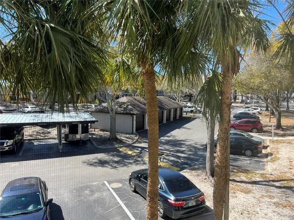 a street view with tall trees