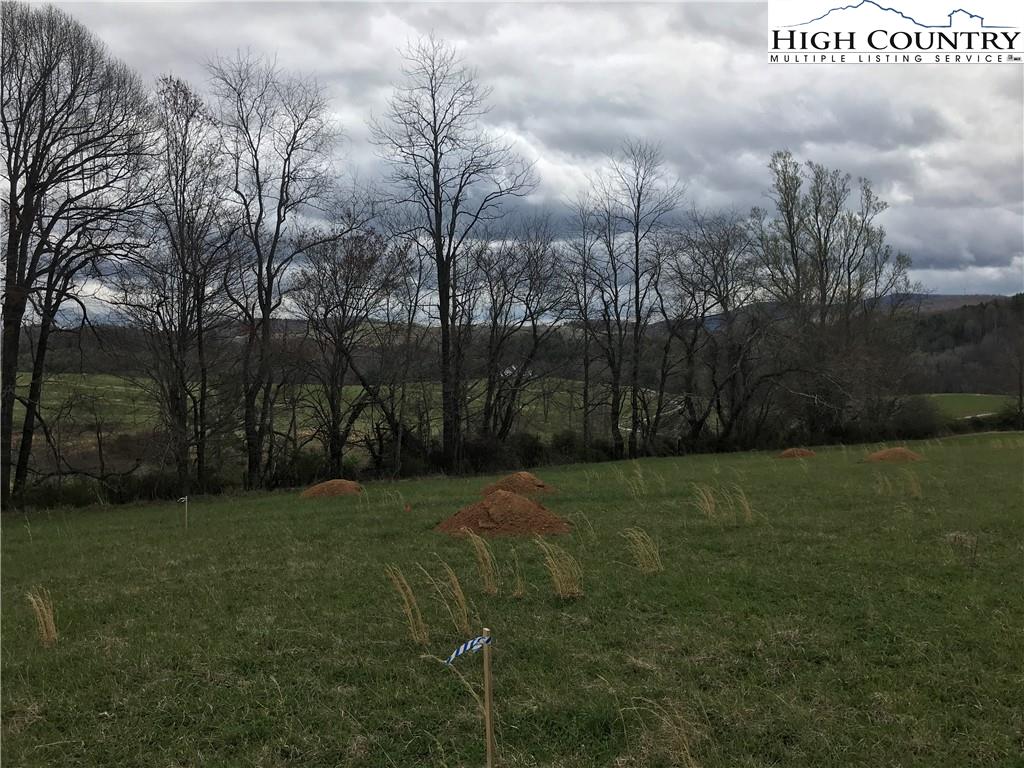 Tbd (13-14) Tbd (13-14) Dogwood Ridge Road Sparta, NC 28675 - Photo 6 of 13 Gallery Image 6