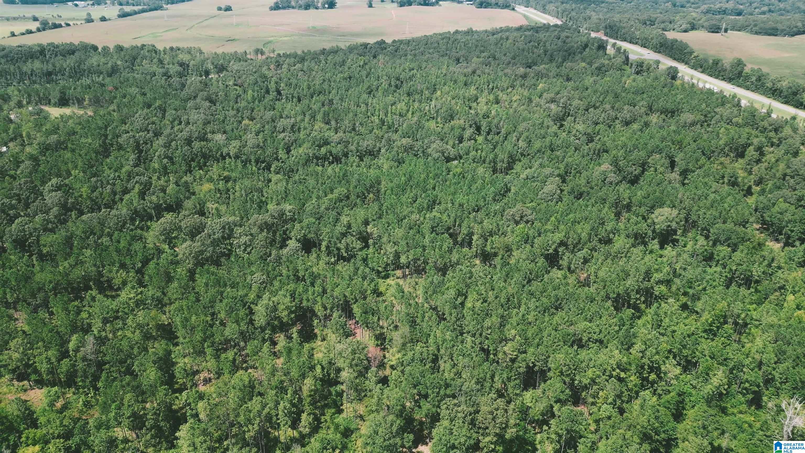 Hwy 77 State Road, Unit 3 Lineville, AL 36266 - Photo 1 of 3
