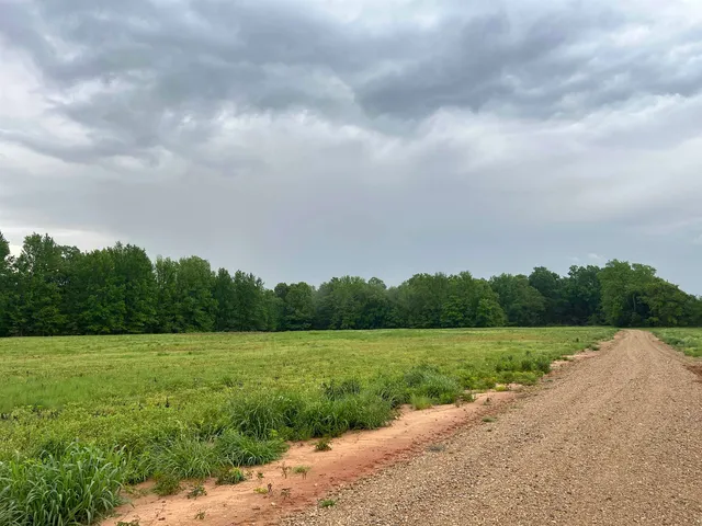 a view of a lake with a big yard