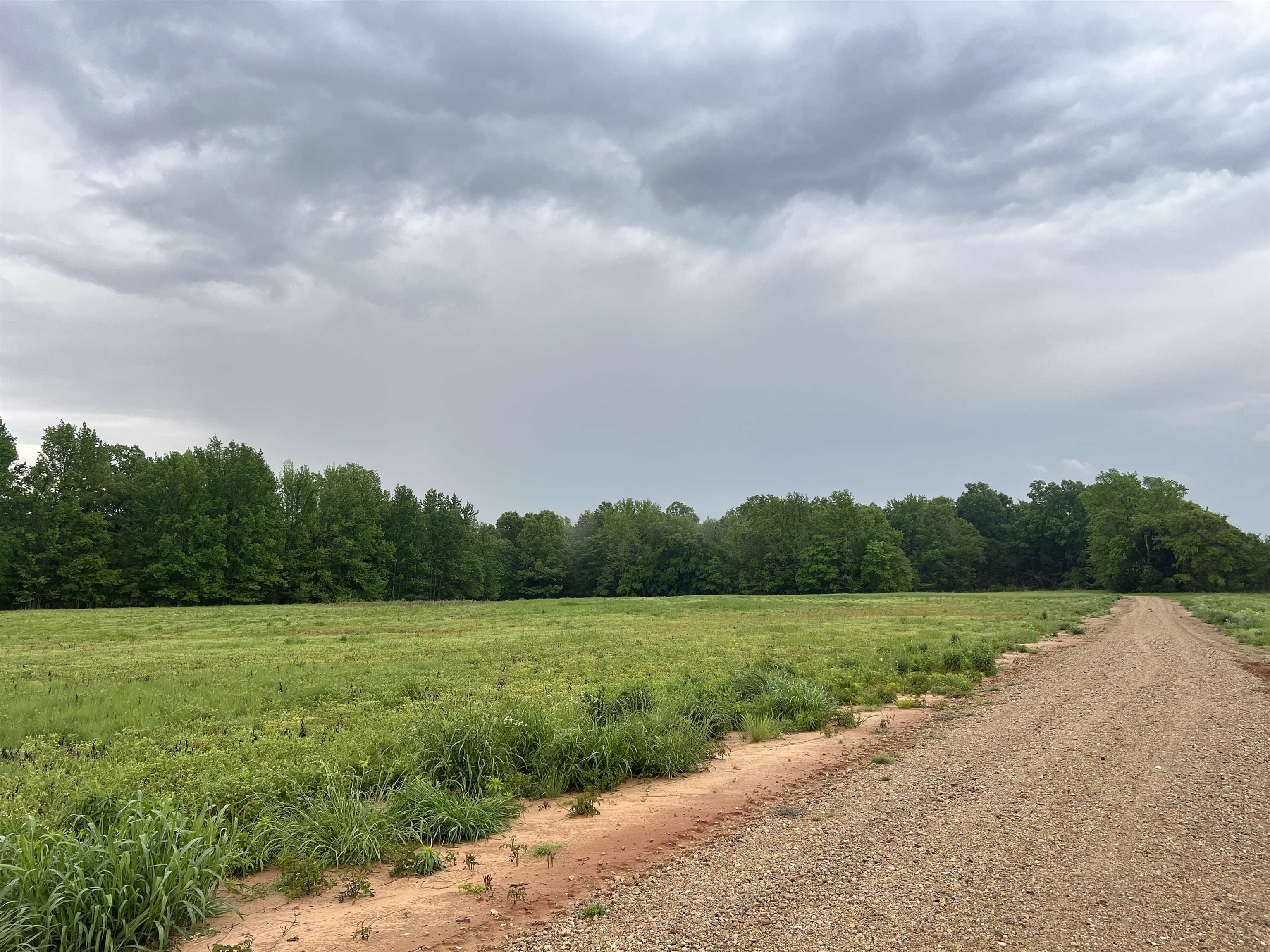a view of a lake with a big yard