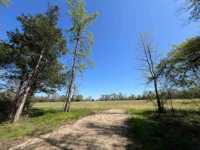 a big yard with trees