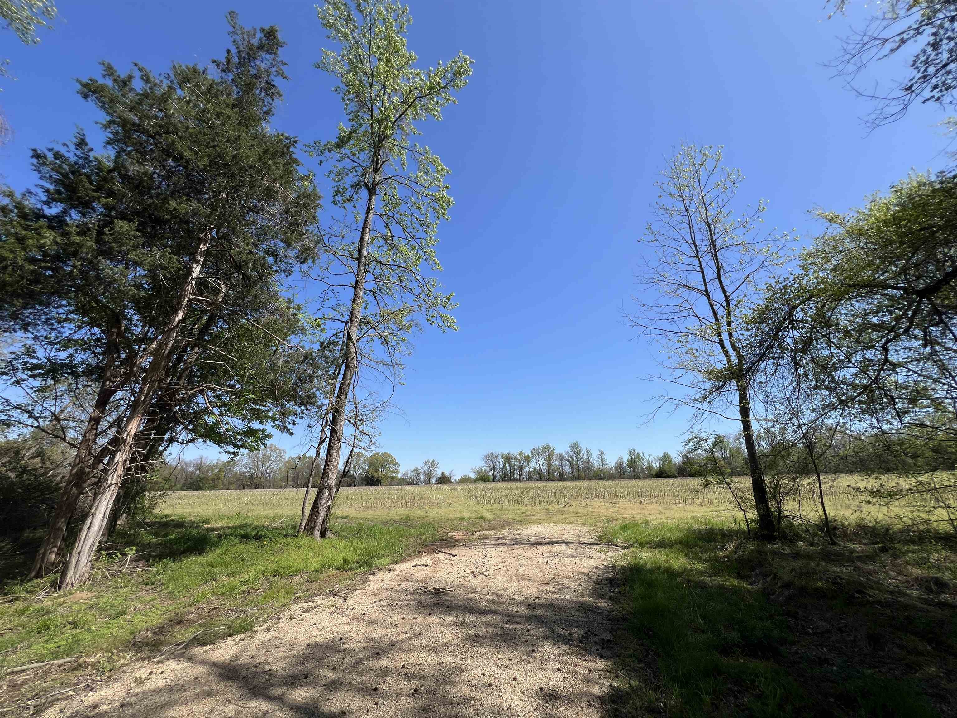 0 Burnett Road Williston, TN 38076 - Photo 13 of 39 a view of a lake with a big yard