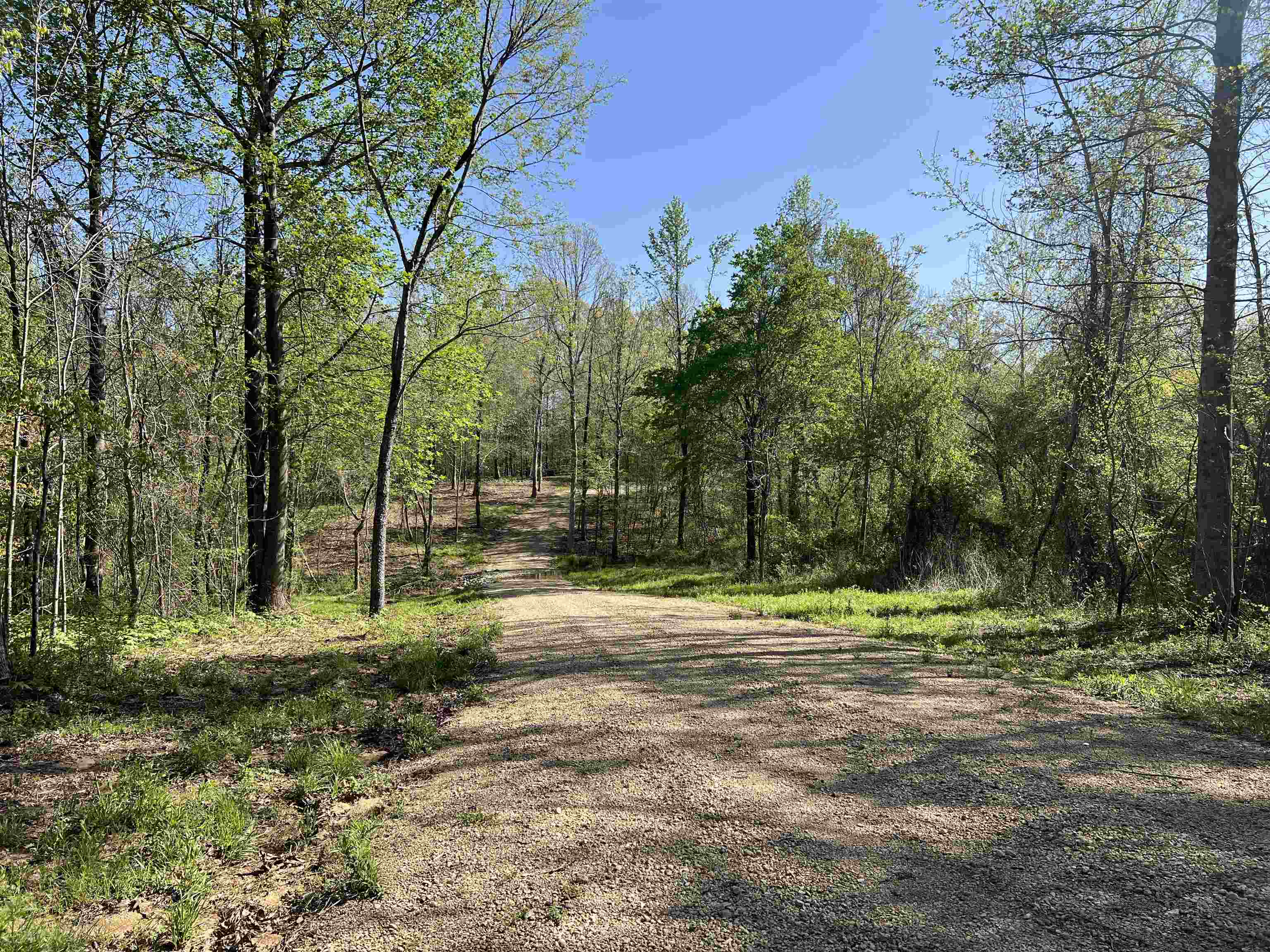 0 Burnett Road Williston, TN 38076 - Photo 15 of 39 a big yard with trees