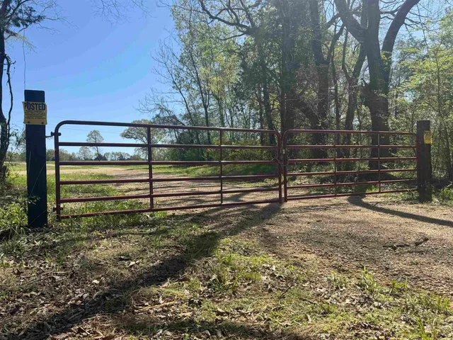 a view of a backyard with wooden fence