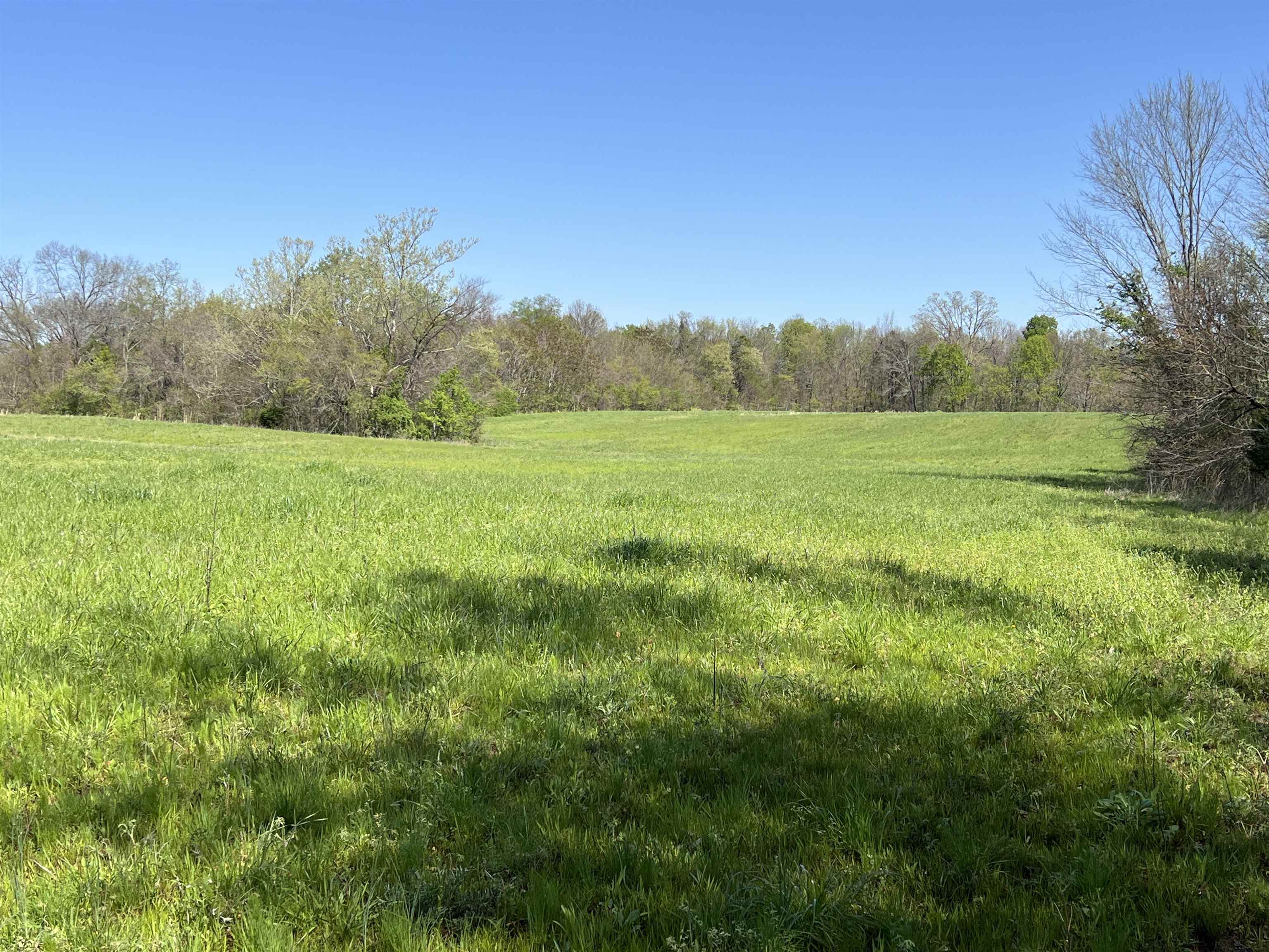 0 Burnett Road Williston, TN 38076 - Photo 23 of 39 a view of field with lush green space