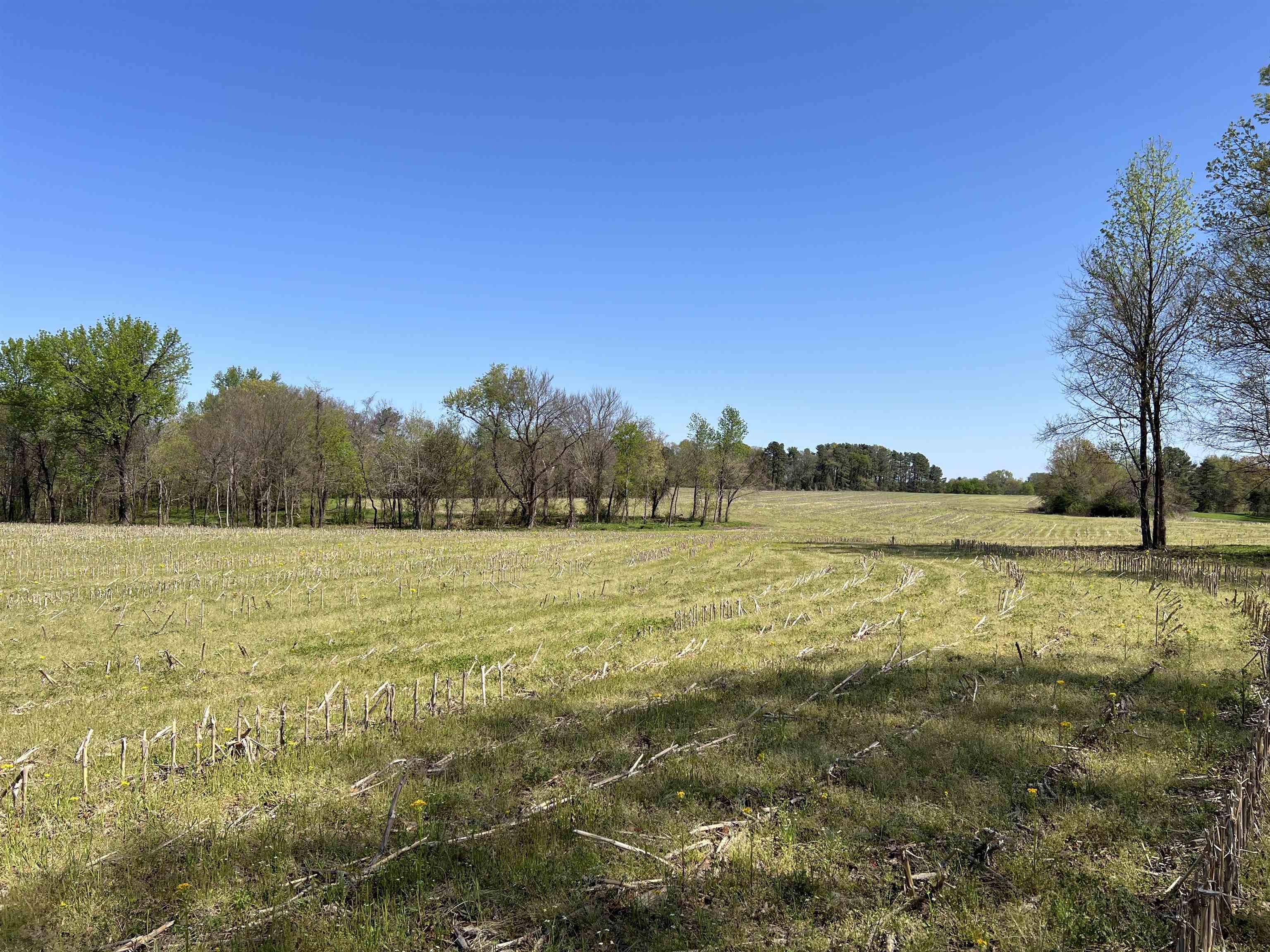 0 Burnett Road Williston, TN 38076 - Photo 26 of 39 a view of a lake view