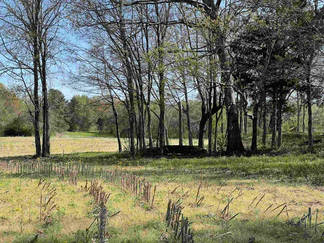 a view of an outdoor space and a yard