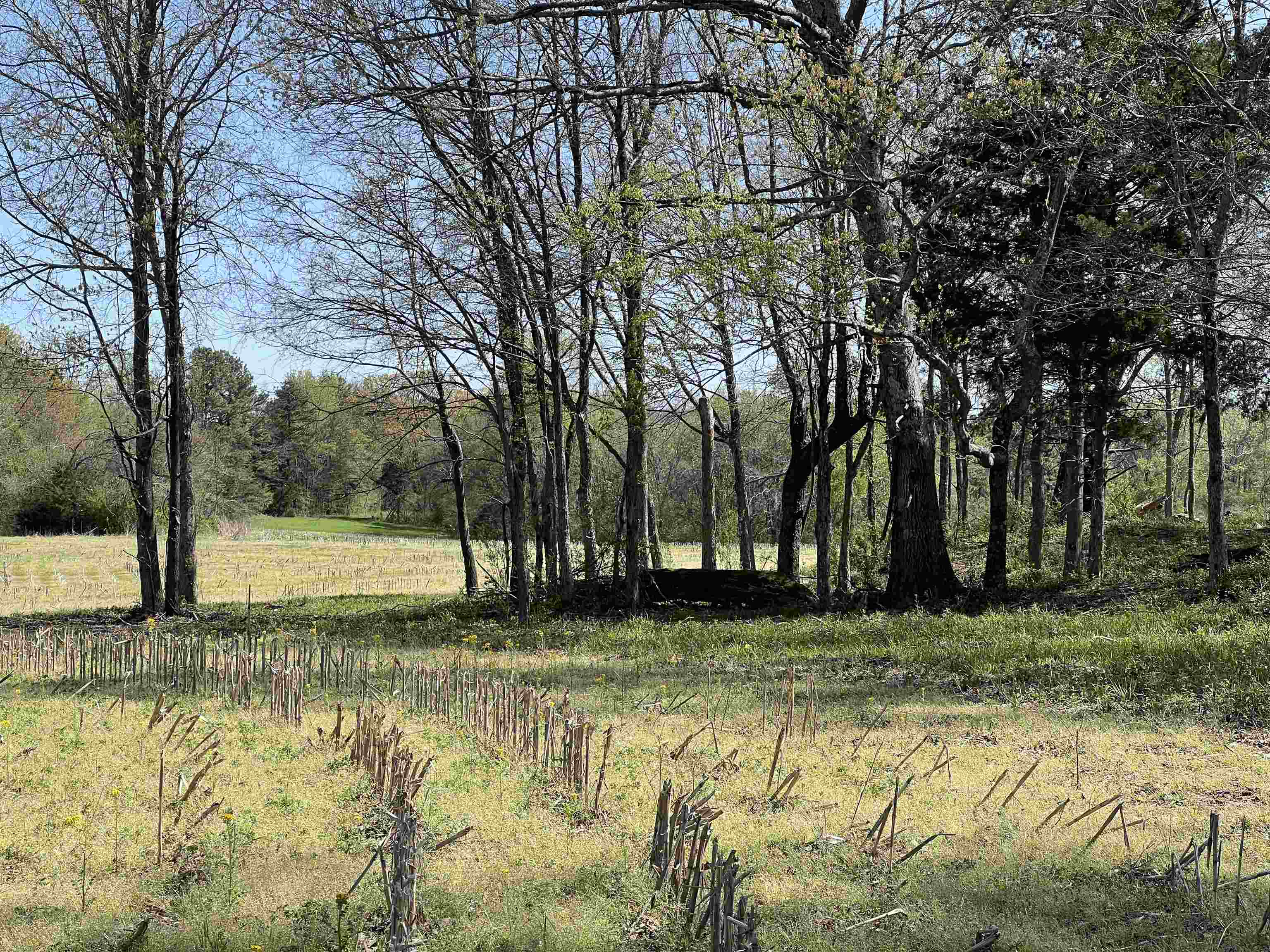 0 Burnett Road Williston, TN 38076 - Photo 30 of 39 a swimming pool with trees in the background