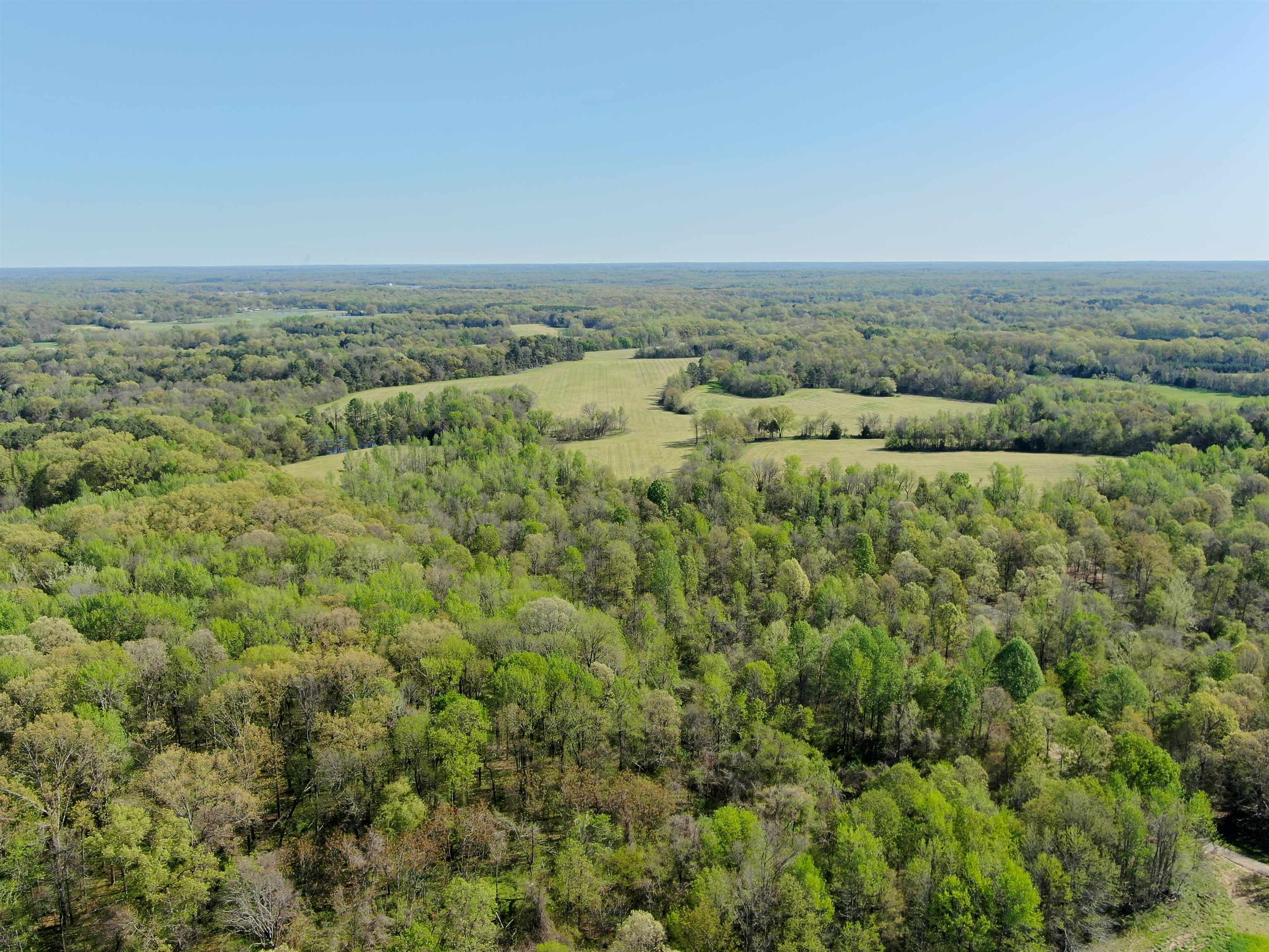 0 Burnett Road Williston, TN 38076 - Photo 36 of 39 an aerial view of houses covered in trees