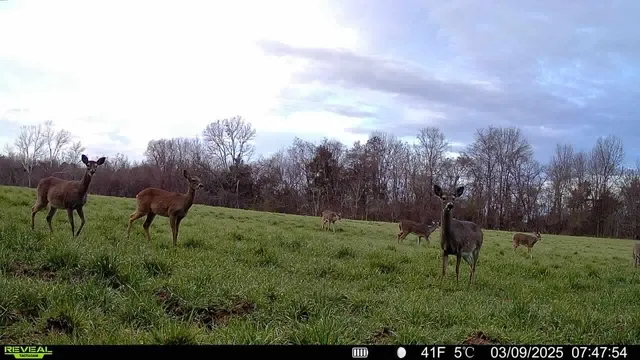 $1,285,700 | 0 Burnett Road, Williston, TN 38076