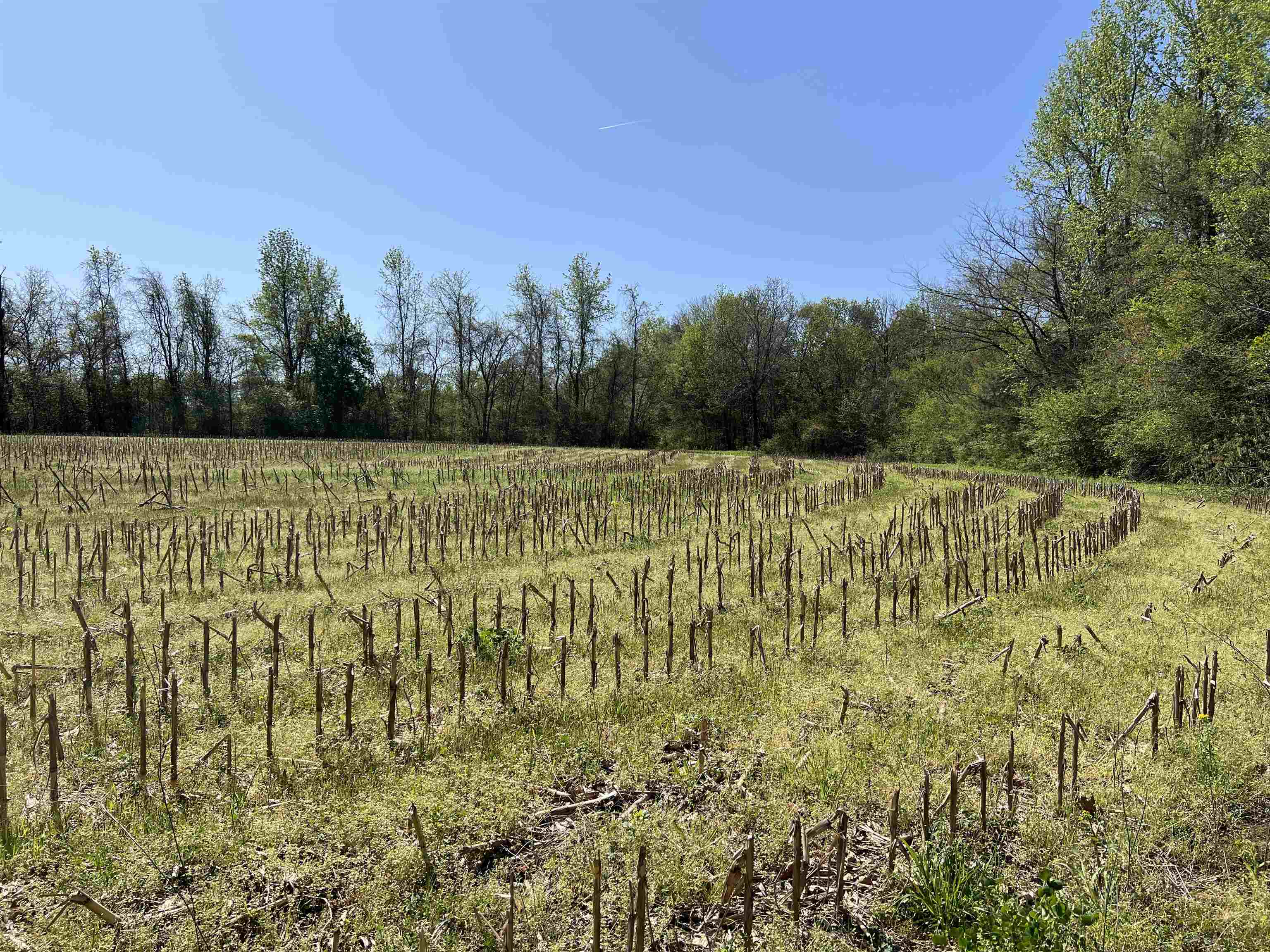 0 Burnett Road Williston, TN 38076 - Photo 7 of 39