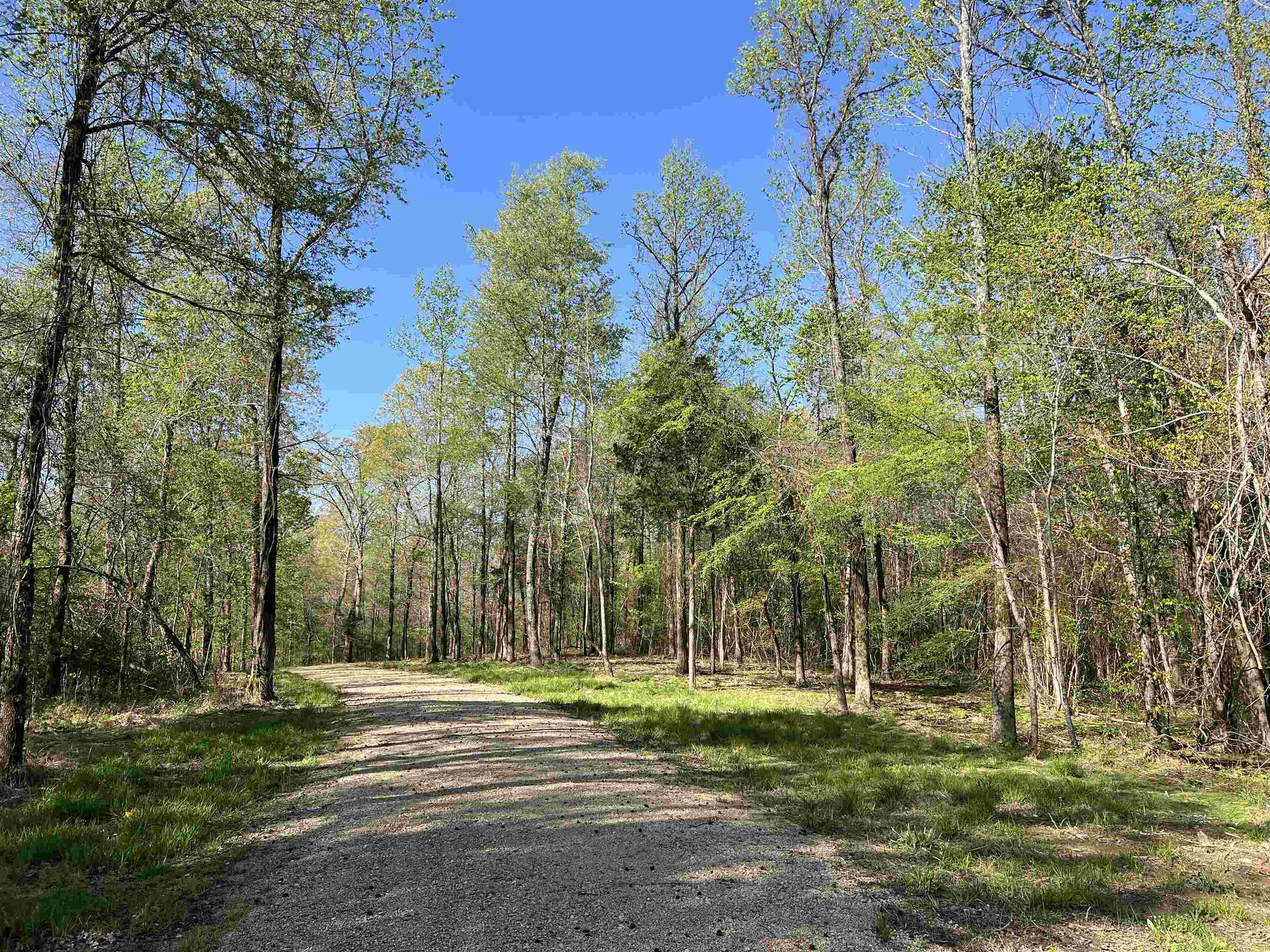 0 Burnett Road Williston, TN 38076 - Photo 9 of 39 a view of a park