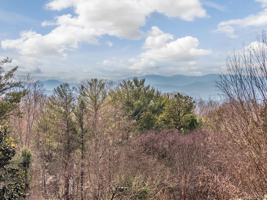 151 Bell Road Asheville, NC 28805 - Photo 19 of 20 Gallery Image 19